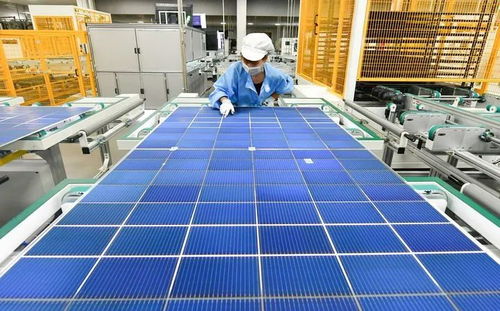 新華社專題報(bào)道 年輕獨(dú)角獸 華晟新能源