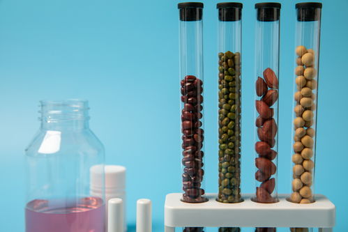 花生大豆食品安全農(nóng)業(yè)科技食品培育攝影圖 插畫 下載至來源處