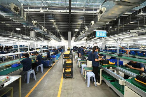 阜陽市委書記帶隊(duì) 去了這些企業(yè)